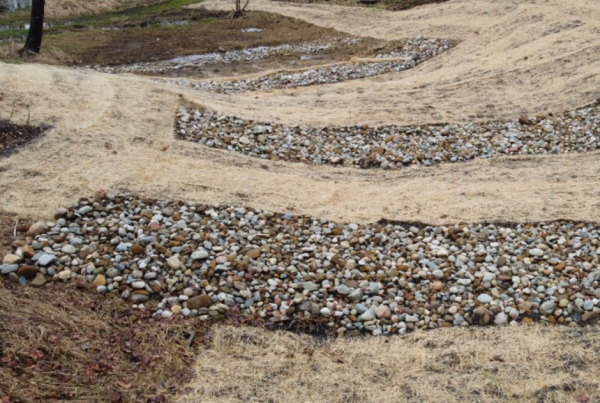 Litchfield’s Mill Race Dam Removal Project